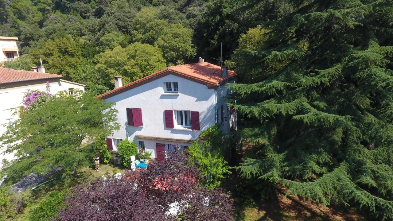 Villa Riviera Chambres Privees Amélie-les-Bains-Palalda Εξωτερικό φωτογραφία