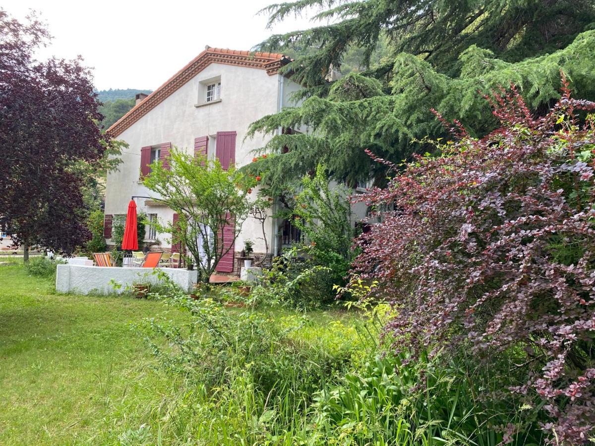 Villa Riviera Chambres Privees Amélie-les-Bains-Palalda Εξωτερικό φωτογραφία